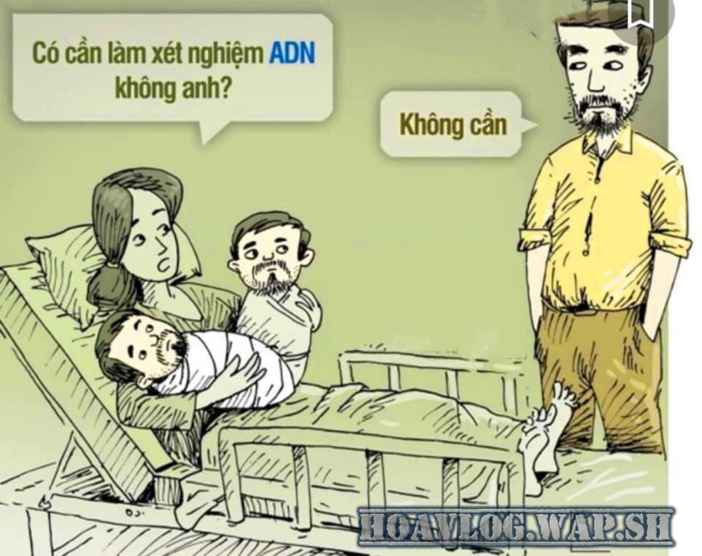 HoaVlog - Những tấm Ảnh hài hước ngày 28/09/2019 | Ảnh Chế Hài